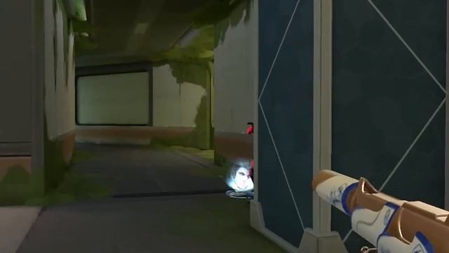 Can I Survive Valorant without crosshair and interface