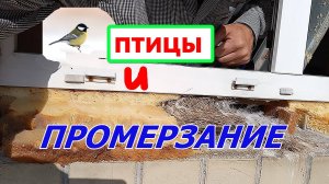 Окно ПРОМЕРЗАЕТ?! Установка отлива с ошибками. Птицы знают ПОЧЕМУ. Оконные трагедии - 13.