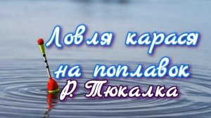 Рыбалка на реке Тюкалка. Рыбалка в Омской области