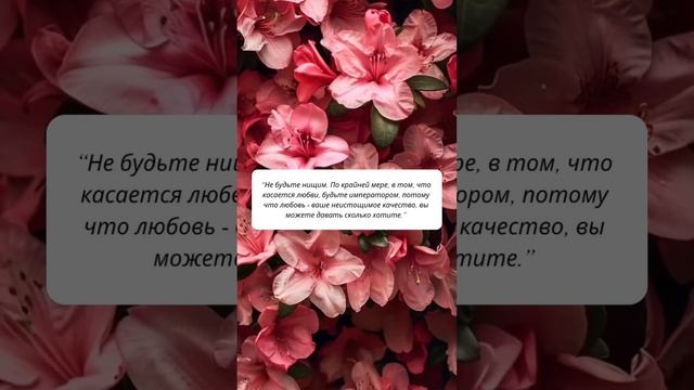 Любите и будьте любимы ❤️#какбытьсчастливой #какбытьсчастливым #осознанность #ошо