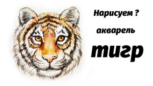 Как нарисовать тигра акварелью