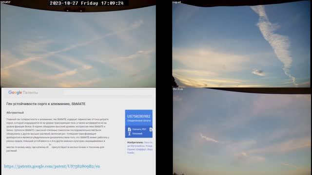 НН#12. Chemical dementia. 2023.10.27