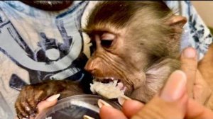 Мама кормит маленькую Тосю первой в ее жизни вкусной кашей, малышка худенькая, нужно откормить.