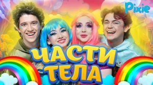 Части Тела Детская Музыка🎶