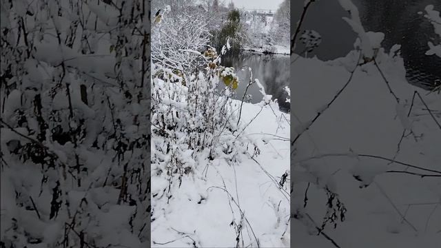 1000025684.mp4