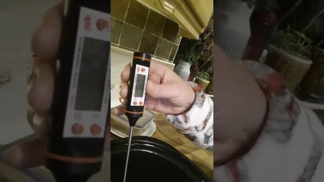 Digital meat thermometer (Slow Cooker) top tip смотреть онлайн