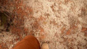 9682795-uhd_3840_2160_25fps