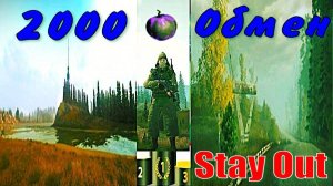 ⭐Stay Out⭐Сталкер-Онлайн👍  2000 ЯБЛОК ОБМЕН .