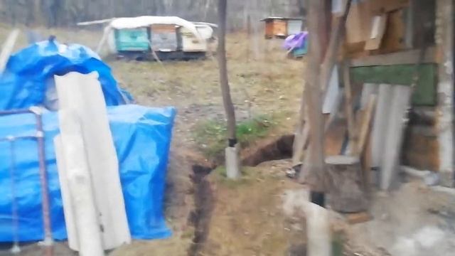 Зимовка пчёл идёт, а зимы нет. смотреть онлайн