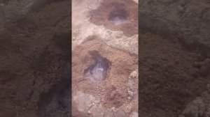 Какая должна быть ямка для посадки голубики