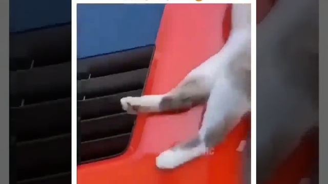 На чиле, на расслабоне