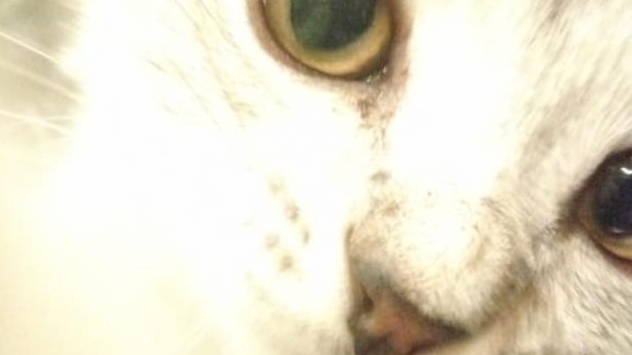 Абра-кадабра смотреть онлайн