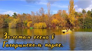 Золотая осень в Гагаринском парке