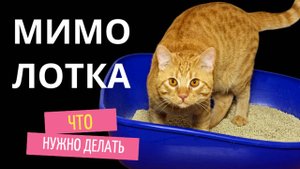 Мимо лотка. Что нужно делать.