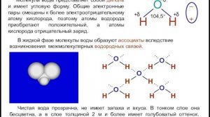 Строение и свойства воды