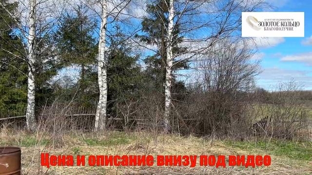 Участок 34 сотки с электричеством в деревне Косково, рядом с поселком Майский, Александровский райо