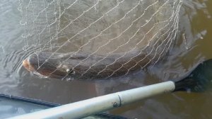 🎣МЕЧТА РЫБАКА🎣  🔺️ШЕСТОЙ ДЕНЬ СЕНТЯБРЬ 2024🔺️