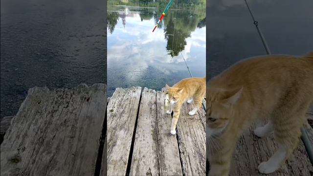 1000025731.mp4