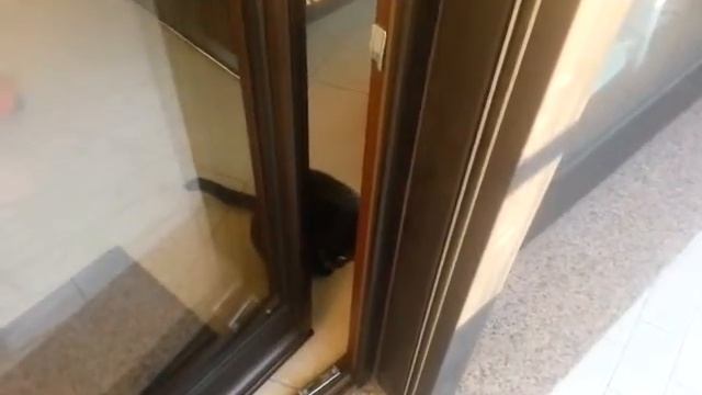 Солнце 21-го января смотреть онлайн