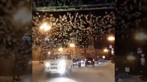 Белый снег. Метель завируха. Автопрогулка по Магадану