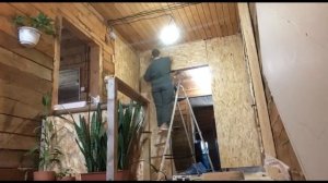 Шок! Эта девушка построила перегородку за считанные часы — посмотрите, как она это сделала!