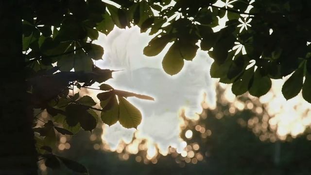 К 75-летию Великой Победы и к 50-летию открытия Кургана Бессмертия в Реадовском парке