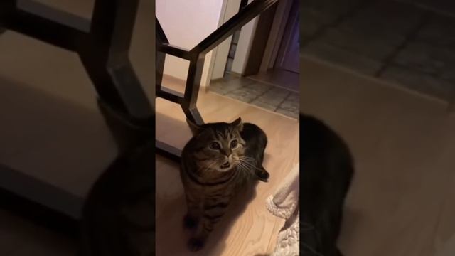 Когда надо копить на ремонт