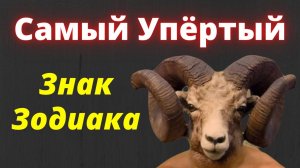 Какой знак зодиака Самый Упрямый? Рейтинг знаков зодиака