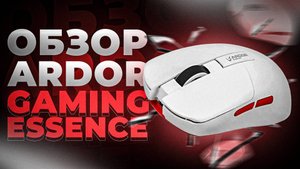 Беспроводная мышь ARDOR GAMING ESSENCE / ОБЗОР