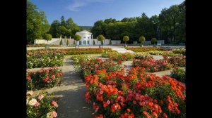 Цунами. 1-я часть