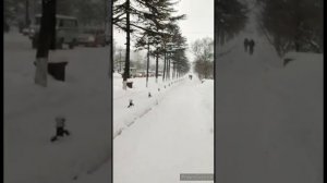 Снежный Магадан. Прогулка по городу и метель 7-8 ноября 2022. Магадан с Натали