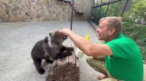 Олег Зубков кормит спасенного медвежонка Лейлу из новой БОЛЬШОЙ БУТЫЛКИ!