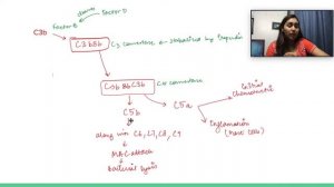 Part 1: Overview of Innate Immunity