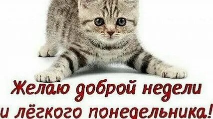 С понедельником!