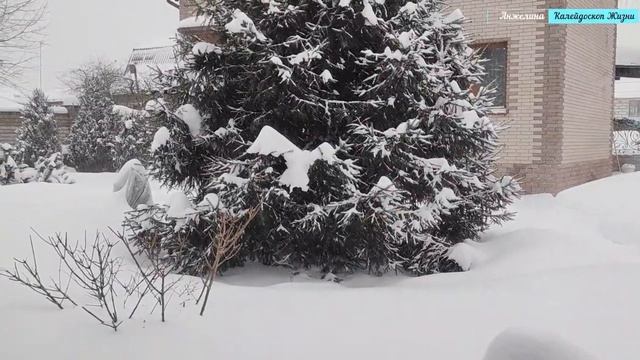 Наша деревенская жизнь.  Пыхтино и соседние "деревеньки" Рассказовка, Солнцев-Парк. Снежный февраль
