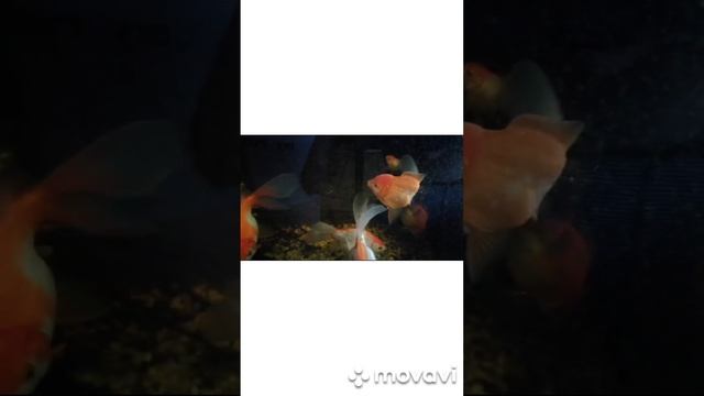 всегда хотят есть.