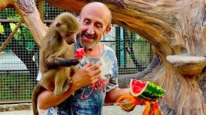 Папа с мамой пришли к Люське и она решила  стать блогером и снимать ролики)