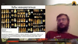 Ночной АРХЭфир “Новости антропологии“ от Станислава Дробышевского - Март