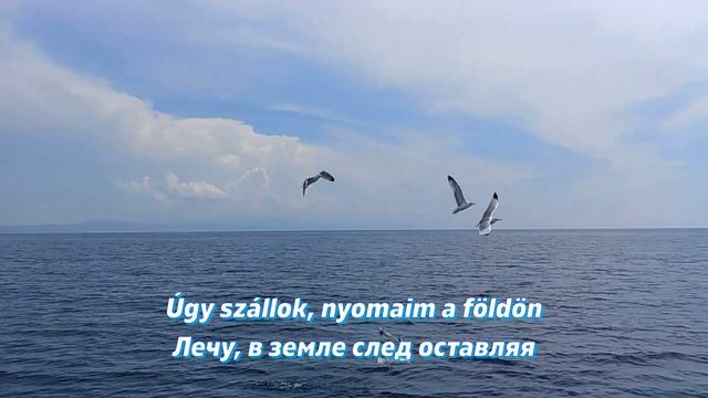 Thy Catafalque - Sirály (fanmade video с переводом) смотреть онлайн