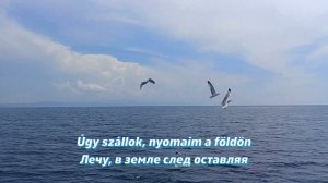 Thy Catafalque - Sirály (fanmade video с переводом)