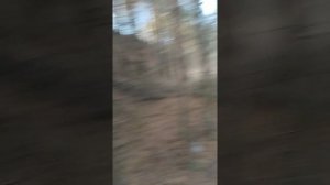 эндуро хорлово, Китай не вывозит