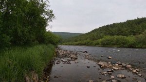 Река Дукча ниже подвесного моста. Первые рыбаки и отдых 5 июля 2020. Магадан