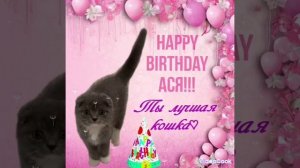 Lady Ariana премьера трека Happy birthday АСЯ!!!