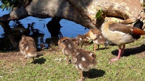 12314667_2560_1440_25fps