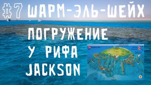 Шарм-аль-Шейх #7 Погружение у рифа Jackson