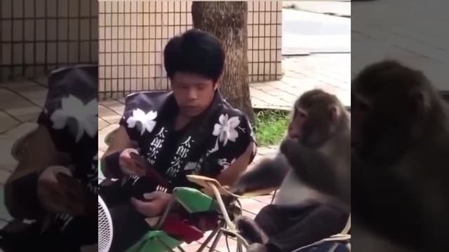 Поддержи подпиской 🙏 смотреть онлайн