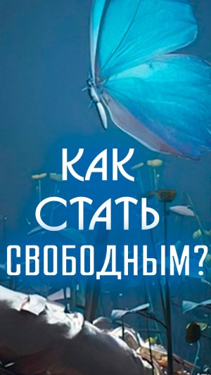 Как стать свободным человеком и не зависеть от чужого мнения? #статьсвободным