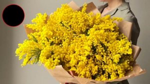 Назови цветок по фотографии. Угадай цветок по фото. Викторина о растениях