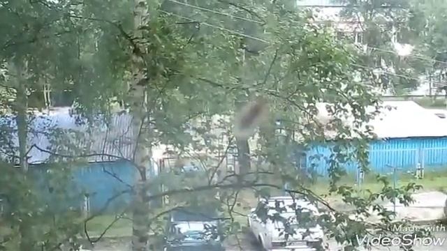 Гномик исполняющие желания ;) смотреть онлайн