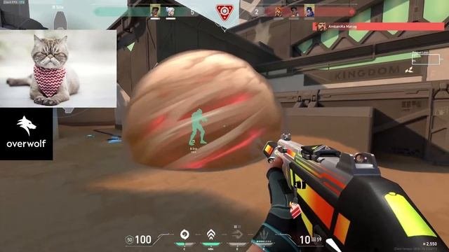 Valorant Fun Unrated Stream | Pacify DONE  | With | Cyrex | GIVEAWAY!!!